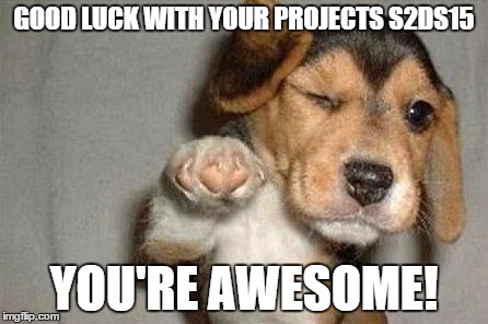 Awesome Dog | GOOD LUCK WITH YOUR PROJECTS S2DS15 YOU'RE AWESOME! | image tagged in awesome dog | made w/ Imgflip meme maker