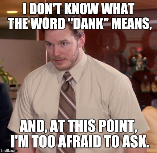 Every single day on Reddit... | I DON'T KNOW WHAT THE WORD "DANK" MEANS, AND, AT THIS POINT, I'M TOO AFRAID TO ASK. | image tagged in memes,afraid to ask andy | made w/ Imgflip meme maker