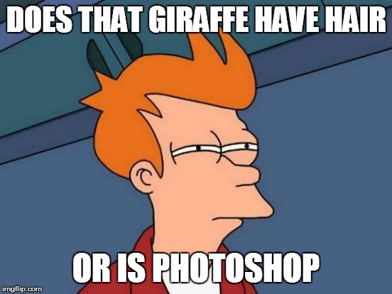 Futurama Fry Meme | DOES THAT GIRAFFE HAVE HAIR OR IS PHOTOSHOP | image tagged in memes,futurama fry | made w/ Imgflip meme maker