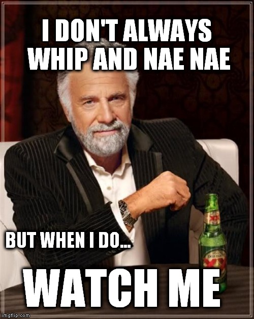 The Most Interesting Man In The World Meme | I DON'T ALWAYS WHIP AND NAE NAE WATCH ME BUT WHEN I DO... | image tagged in memes,the most interesting man in the world | made w/ Imgflip meme maker