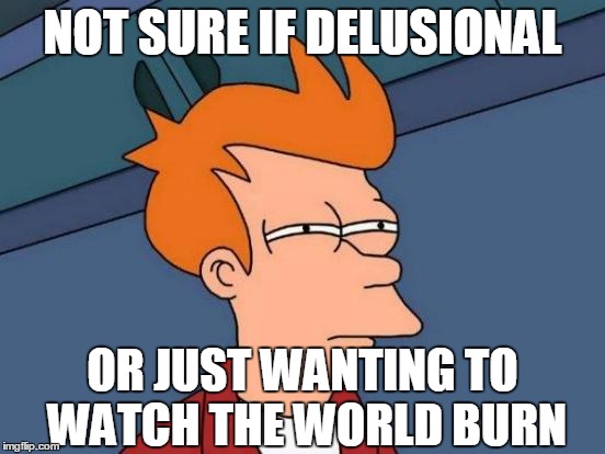 Futurama Fry Meme | NOT SURE IF DELUSIONAL OR JUST WANTING TO WATCH THE WORLD BURN | image tagged in memes,futurama fry | made w/ Imgflip meme maker