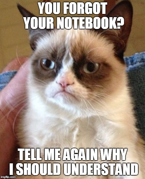 Grumpy Cat | YOU FORGOT YOUR NOTEBOOK? TELL ME AGAIN WHY I SHOULD UNDERSTAND | image tagged in memes,grumpy cat | made w/ Imgflip meme maker