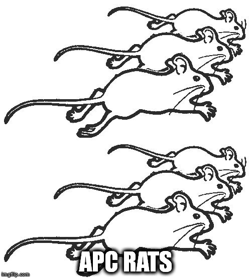 APC RATS | image tagged in apc rats | made w/ Imgflip meme maker