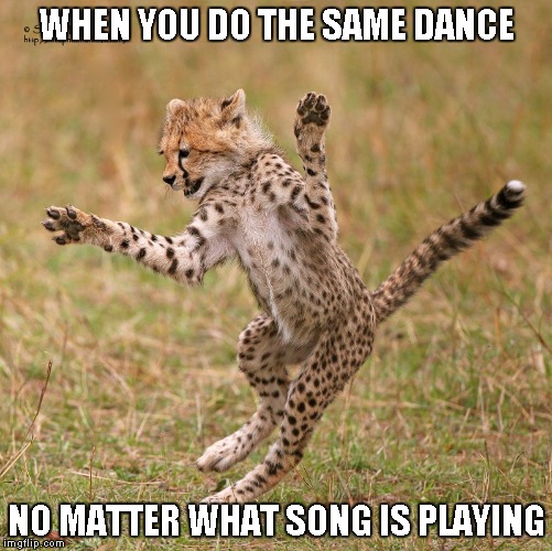 Dancing Cougar | WHEN YOU DO THE SAME DANCE NO MATTER WHAT SONG IS PLAYING | image tagged in dancing cougar,funny memes,cat | made w/ Imgflip meme maker