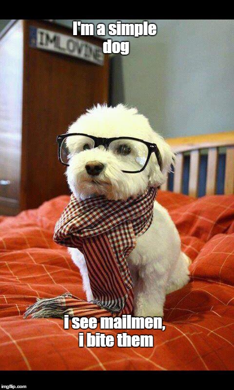 Intelligent Dog | I'm a simple dog i see mailmen, i bite them | image tagged in memes,intelligent dog | made w/ Imgflip meme maker