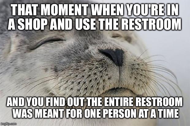 Satisfied Seal Meme | THAT MOMENT WHEN YOU'RE IN A SHOP AND USE THE RESTROOM AND YOU FIND OUT THE ENTIRE RESTROOM WAS MEANT FOR ONE PERSON AT A TIME | image tagged in memes,satisfied seal | made w/ Imgflip meme maker
