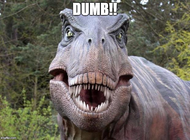 T rex | DUMB!! | image tagged in t rex | made w/ Imgflip meme maker