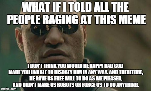 Matrix Morpheus Meme | WHAT IF I TOLD ALL THE PEOPLE RAGING AT THIS MEME I DON'T THINK YOU WOULD BE HAPPY HAD GOD MADE YOU UNABLE TO DISOBEY HIM IN ANY WAY. AND TH | image tagged in memes,matrix morpheus | made w/ Imgflip meme maker