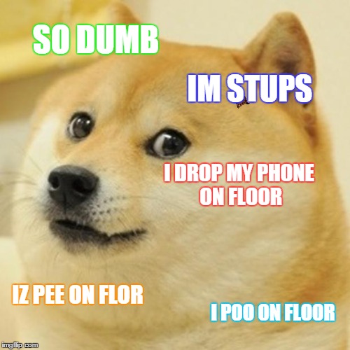 Doge | SO DUMB IM STUPS I DROP MY PHONE ON FLOOR IZ PEE ON FLOR I POO ON FLOOR | image tagged in memes,doge,scumbag | made w/ Imgflip meme maker