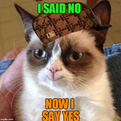 I SAID NO NOW I SAY YES | image tagged in not so grumpy cat,scumbag | made w/ Imgflip meme maker