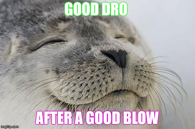 Satisfied Seal | GOOD DRO AFTER A GOOD BLOW | image tagged in memes,satisfied seal | made w/ Imgflip meme maker