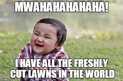 Evil Toddler Meme | MWAHAHAHAHAHA! I HAVE ALL THE FRESHLY CUT LAWNS IN THE WORLD | image tagged in memes,evil toddler | made w/ Imgflip meme maker