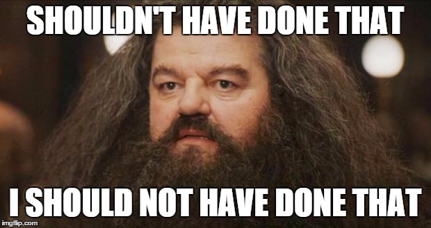 Hagrid | SHOULDN'T HAVE DONE THAT I SHOULD NOT HAVE DONE THAT | image tagged in hagrid,AdviceAnimals | made w/ Imgflip meme maker
