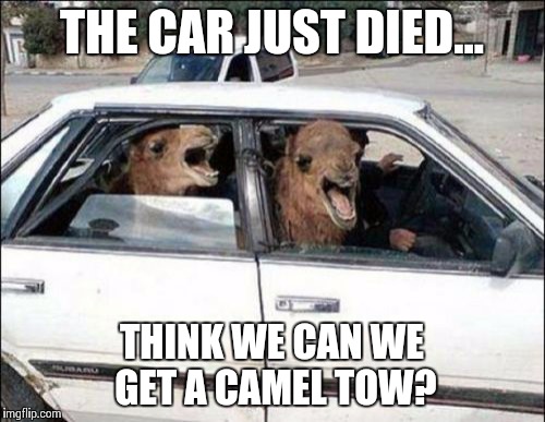 Quit Hatin | THE CAR JUST DIED... THINK WE CAN WE GET A CAMEL TOW? | image tagged in memes,quit hatin | made w/ Imgflip meme maker