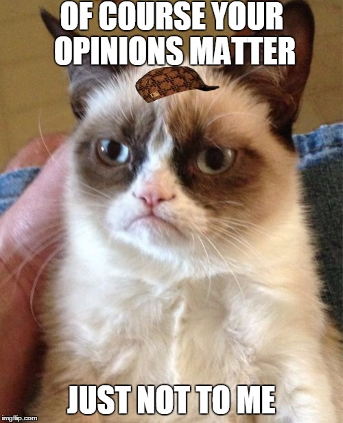 Grumpy Cat Meme | OF COURSE YOUR OPINIONS MATTER JUST NOT TO ME | image tagged in memes,grumpy cat,scumbag | made w/ Imgflip meme maker
