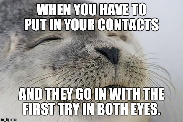 Satisfied Seal | WHEN YOU HAVE TO PUT IN YOUR CONTACTS AND THEY GO IN WITH THE FIRST TRY IN BOTH EYES. | image tagged in memes,satisfied seal,AdviceAnimals | made w/ Imgflip meme maker