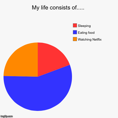image tagged in funny,pie charts | made w/ Imgflip chart maker