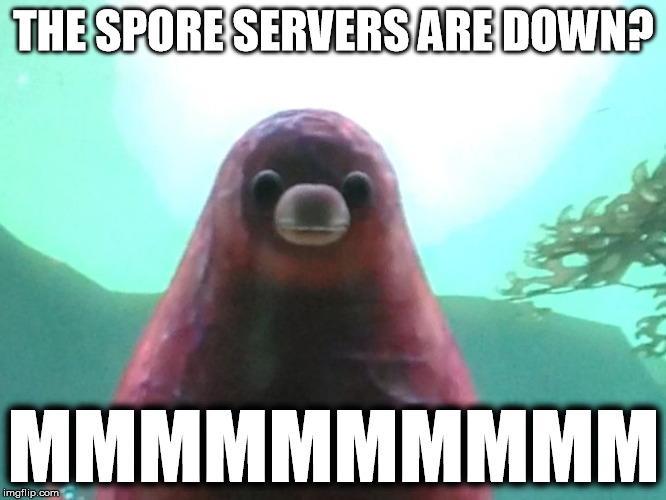 spore servers