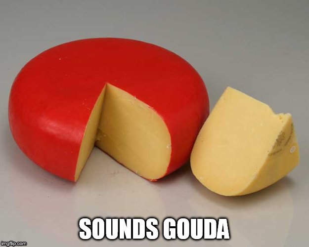 sounds gouda | SOUNDS GOUDA | image tagged in cheese,puns | made w/ Imgflip meme maker