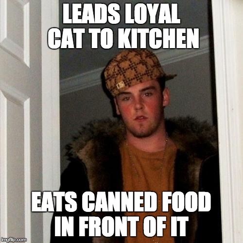 Scumbag Steve Meme | LEADS LOYAL CAT TO KITCHEN EATS CANNED FOOD IN FRONT OF IT | image tagged in memes,scumbag steve | made w/ Imgflip meme maker