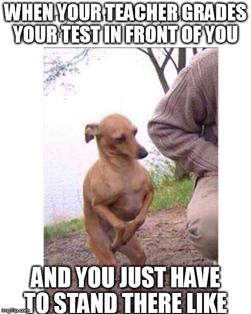 should have studied  | WHEN YOUR TEACHER GRADES YOUR TEST IN FRONT OF YOU AND YOU JUST HAVE TO STAND THERE LIKE | image tagged in education | made w/ Imgflip meme maker