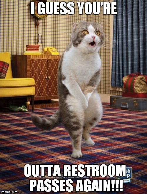 Gotta Go Cat | I GUESS YOU'RE OUTTA RESTROOM PASSES AGAIN!!! | image tagged in memes,gotta go cat | made w/ Imgflip meme maker