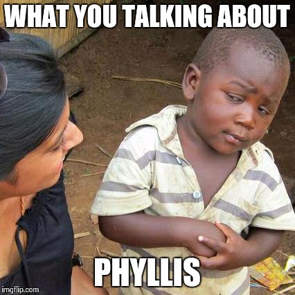 Third World Skeptical Kid | WHAT YOU TALKING ABOUT PHYLLIS | image tagged in memes,third world skeptical kid | made w/ Imgflip meme maker