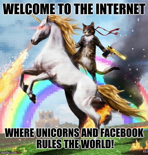 Welcome To The Internets | WELCOME TO THE INTERNET WHERE UNICORNS AND FACEBOOK RULES THE WORLD! | image tagged in memes,welcome to the internets | made w/ Imgflip meme maker