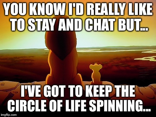 Lion King Meme | YOU KNOW I'D REALLY LIKE TO STAY AND CHAT BUT... I'VE GOT TO KEEP THE CIRCLE OF LIFE SPINNING... | image tagged in memes,lion king | made w/ Imgflip meme maker