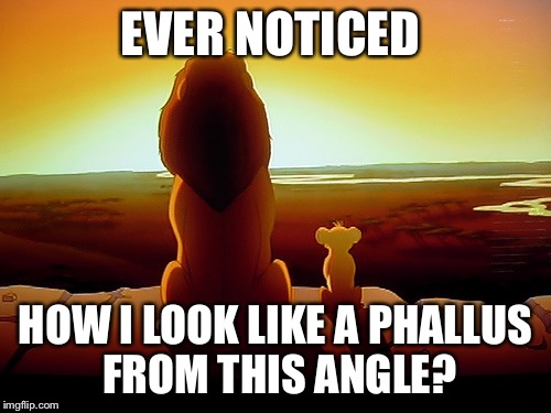 Lion King Meme | EVER NOTICED HOW I LOOK LIKE A PHALLUS FROM THIS ANGLE? | image tagged in memes,lion king | made w/ Imgflip meme maker