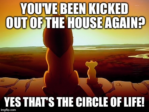 Lion King Meme | YOU'VE BEEN KICKED OUT OF THE HOUSE AGAIN? YES THAT'S THE CIRCLE OF LIFE! | image tagged in memes,lion king | made w/ Imgflip meme maker