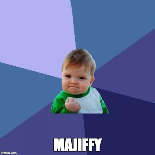 Success Kid Meme | MAJIFFY | image tagged in memes,success kid | made w/ Imgflip meme maker