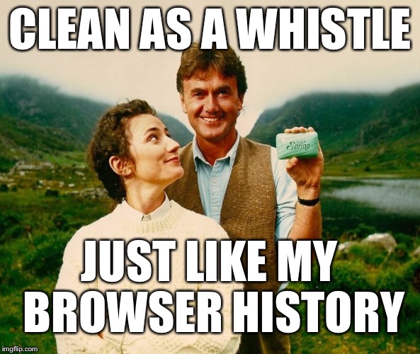 Rod Lee | CLEAN AS A WHISTLE JUST LIKE MY BROWSER HISTORY | image tagged in clean | made w/ Imgflip meme maker