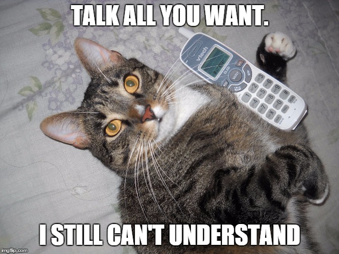 TALK ALL YOU WANT. I STILL CAN'T UNDERSTAND | image tagged in tigger phone,cats | made w/ Imgflip meme maker