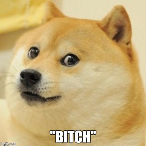 Doge Meme | "B**CH" | image tagged in memes,doge | made w/ Imgflip meme maker