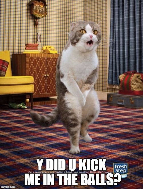 Gotta Go Cat | Y DID U KICK ME IN THE BALLS? | image tagged in memes,gotta go cat | made w/ Imgflip meme maker