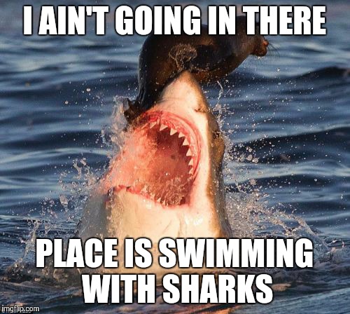 Travelonshark | I AIN'T GOING IN THERE PLACE IS SWIMMING WITH SHARKS | image tagged in memes,travelonshark | made w/ Imgflip meme maker