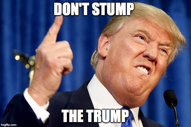 Donald Trump | DON'T STUMP THE TRUMP | image tagged in donald trump | made w/ Imgflip meme maker