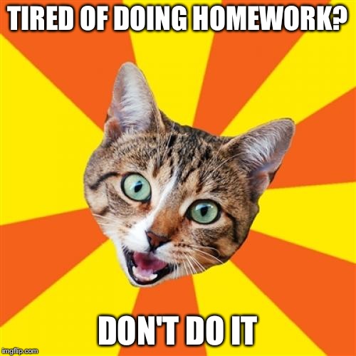 Bad Advice Cat | TIRED OF DOING HOMEWORK? DON'T DO IT | image tagged in memes,bad advice cat | made w/ Imgflip meme maker