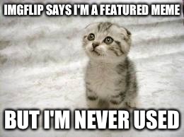 Sad Cat | IMGFLIP SAYS I'M A FEATURED MEME BUT I'M NEVER USED | image tagged in memes,sad cat | made w/ Imgflip meme maker