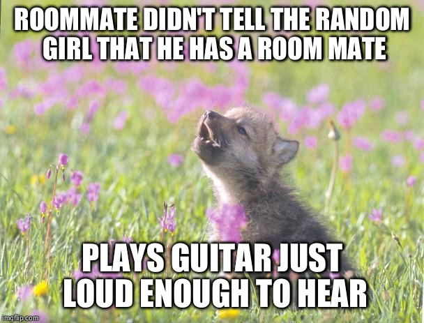 Baby Insanity Wolf Meme | ROOMMATE DIDN'T TELL THE RANDOM GIRL THAT HE HAS A ROOM MATE PLAYS GUITAR JUST LOUD ENOUGH TO HEAR | image tagged in memes,baby insanity wolf | made w/ Imgflip meme maker