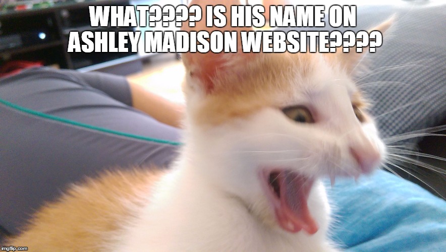 Talisman | WHAT???? IS HIS NAME ON ASHLEY MADISON WEBSITE???? | image tagged in talisman | made w/ Imgflip meme maker