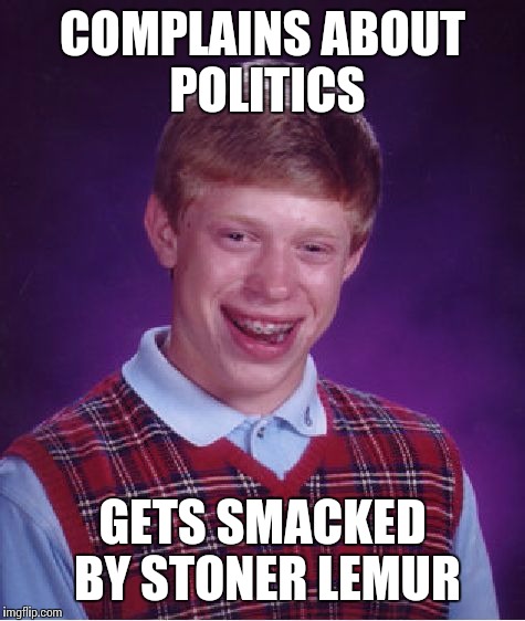 Bad Luck Brian Meme | COMPLAINS ABOUT POLITICS GETS SMACKED BY STONER LEMUR | image tagged in memes,bad luck brian | made w/ Imgflip meme maker