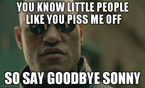 Matrix Morpheus | YOU KNOW LITTLE PEOPLE LIKE YOU PISS ME OFF SO SAY GOODBYE SONNY | image tagged in memes,matrix morpheus | made w/ Imgflip meme maker