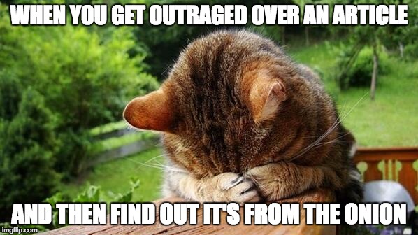 Embarrassed Cat | WHEN YOU GET OUTRAGED OVER AN ARTICLE AND THEN FIND OUT IT'S FROM THE ONION | image tagged in embarrassed cat | made w/ Imgflip meme maker