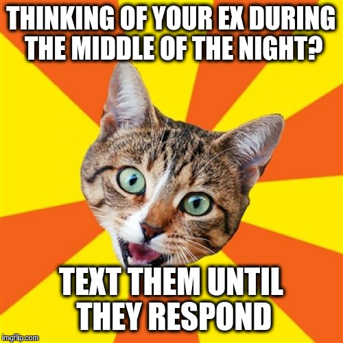 The More Messages You Send The Better! | THINKING OF YOUR EX DURING THE MIDDLE OF THE NIGHT? TEXT THEM UNTIL THEY RESPOND | image tagged in memes,bad advice cat | made w/ Imgflip meme maker