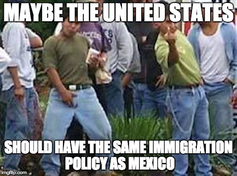MAYBE THE UNITED STATES SHOULD HAVE THE SAME IMMIGRATION POLICY AS MEXICO | image tagged in illegal immigration | made w/ Imgflip meme maker