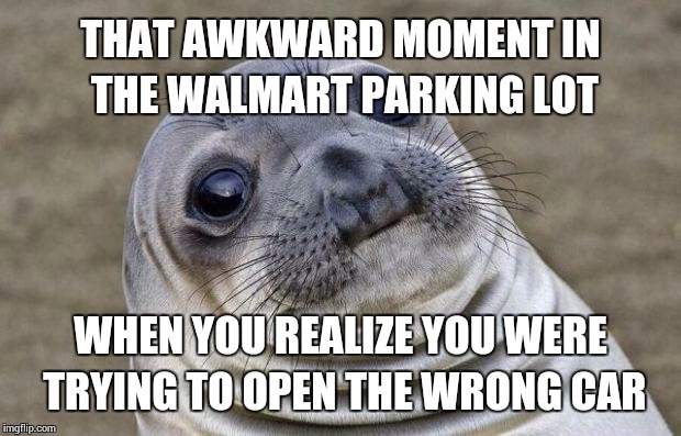 Awkward Moment Sealion Meme | THAT AWKWARD MOMENT IN THE WALMART PARKING LOT WHEN YOU REALIZE YOU WERE TRYING TO OPEN THE WRONG CAR | image tagged in memes,awkward moment sealion | made w/ Imgflip meme maker