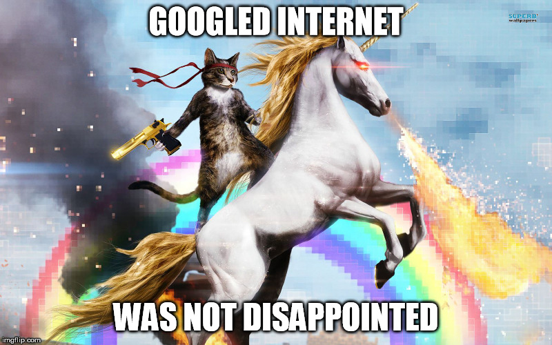 The Internets | GOOGLED INTERNET WAS NOT DISAPPOINTED | image tagged in funny memes | made w/ Imgflip meme maker