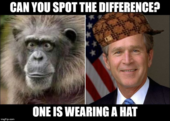 monkey bush | CAN YOU SPOT THE DIFFERENCE? ONE IS WEARING A HAT | image tagged in monkey bush,scumbag,bush,monkey | made w/ Imgflip meme maker